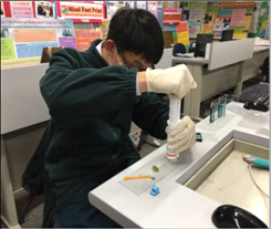  制作厕所模型